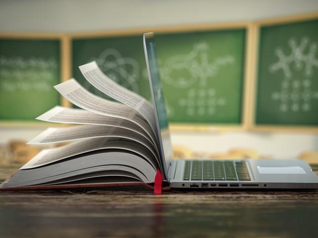 Inclusion Background